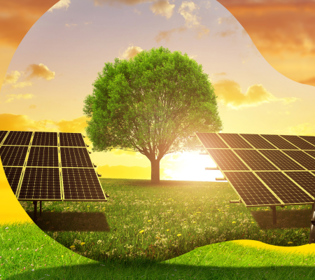 Policy Brief “How Local Energy Ambition Meets Investment”