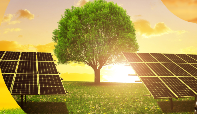 Policy Brief “How Local Energy Ambition Meets Investment”